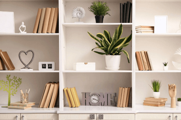 removable shelves
