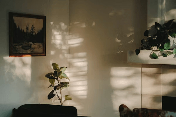 The Growing Focus on Exterior Simplicity in Modern Home Updates 3 a living room with a couch and a potted plant