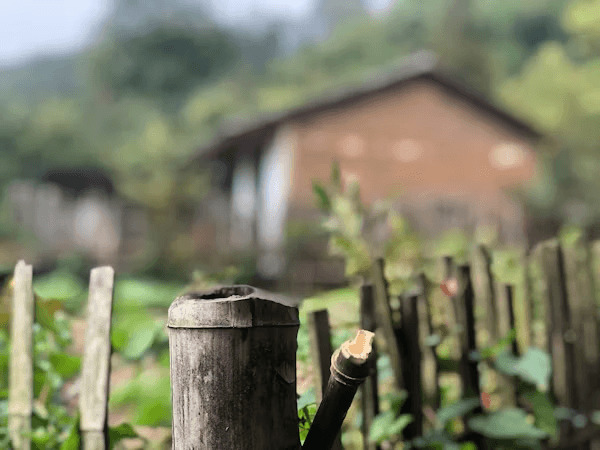 A tidy garden with a fence, suitable