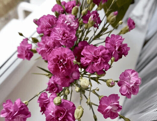 Bouquet of pink flowers on a window sill