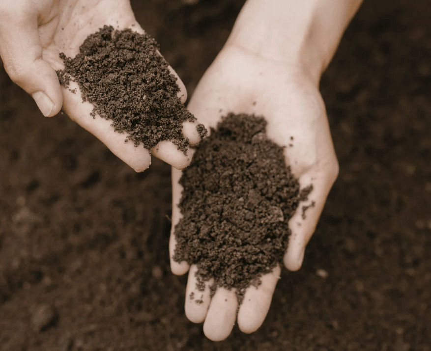 The Therapeutic Garden: Why Getting Your Hands Dirty Is Good for Your Mind 1 good for your mind