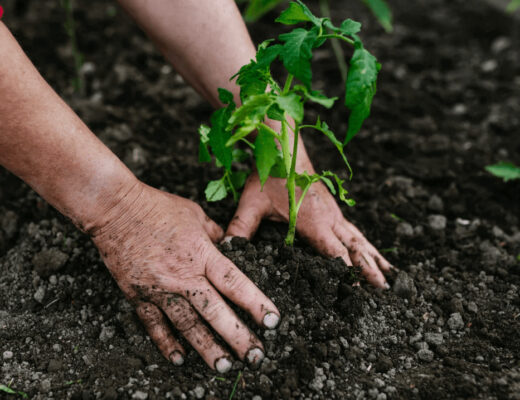 hands dirty