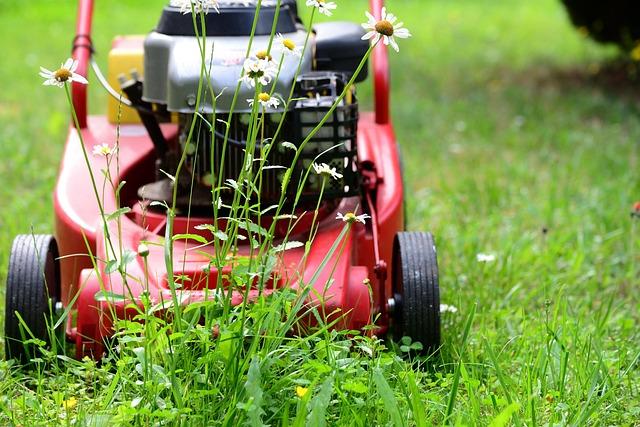 How to Choose the Right Mower Blades for Your Lawn 2 Lawn Mower