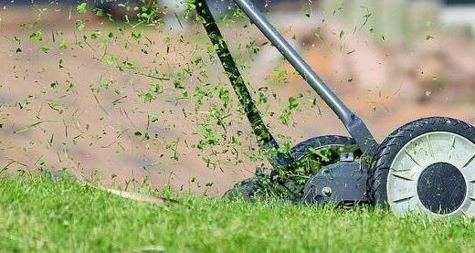 Lawn Sweeper