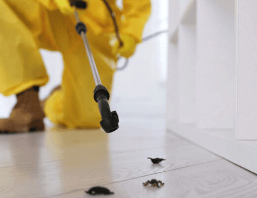 Person cleaning floor for pest prevention
