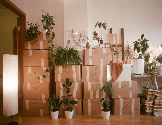 What DIY Prep Should You Do Before a Long-Distance Move in 2026? 3 Room packed with moving boxes and plants for a