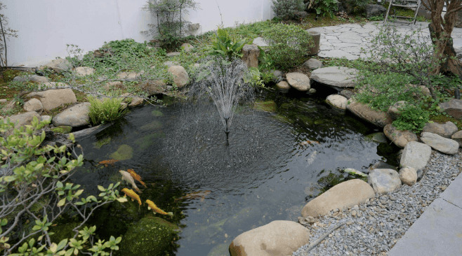 Solar Pond Filter Pump Buyer’s Guide: What to Know Before Going Fully Solar 1 solar pond filter pump
