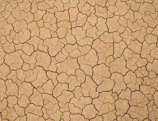 Best Method for Clay Soil