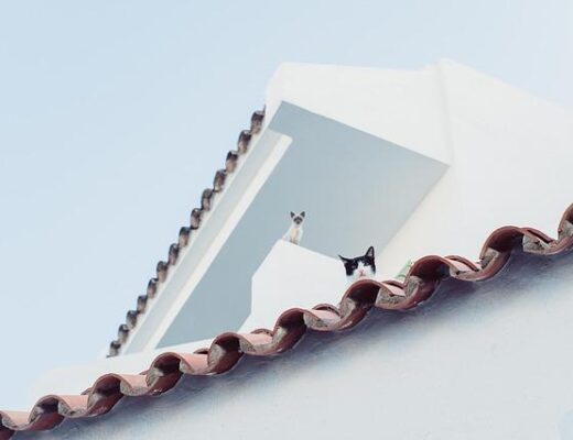 Choose the Right Residential Roofing Material for Your Home