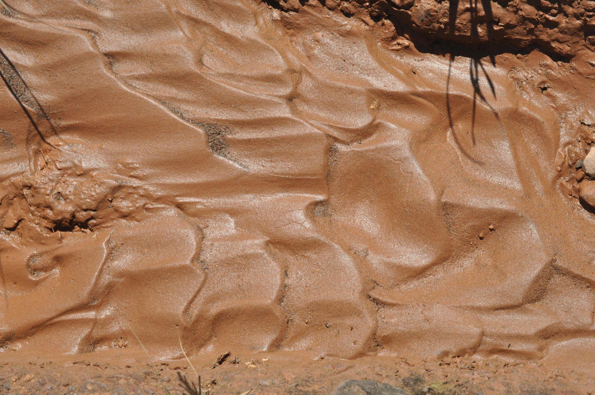 Core Aeration vs Liquid Aeration: for Clay Soil