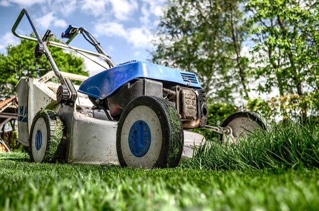 Home Improvement Ideas for a Greener and Healthier Yard 2 greener and healthier yard
