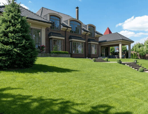 Home Improvement Ideas