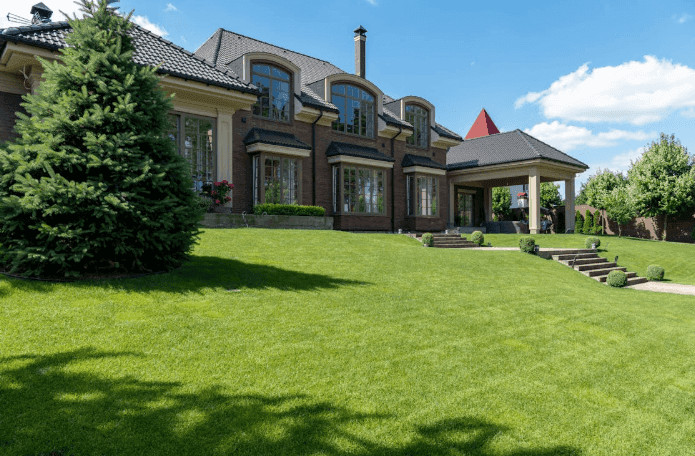 Home Improvement Ideas for a Greener and Healthier Yard 1 ideas for a greener and healthier yard