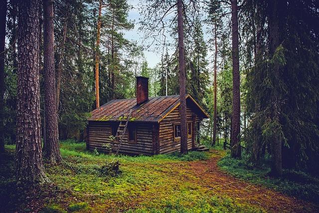 How to Heat a Cabin Without Electricity 1 How to Heat a Cabin