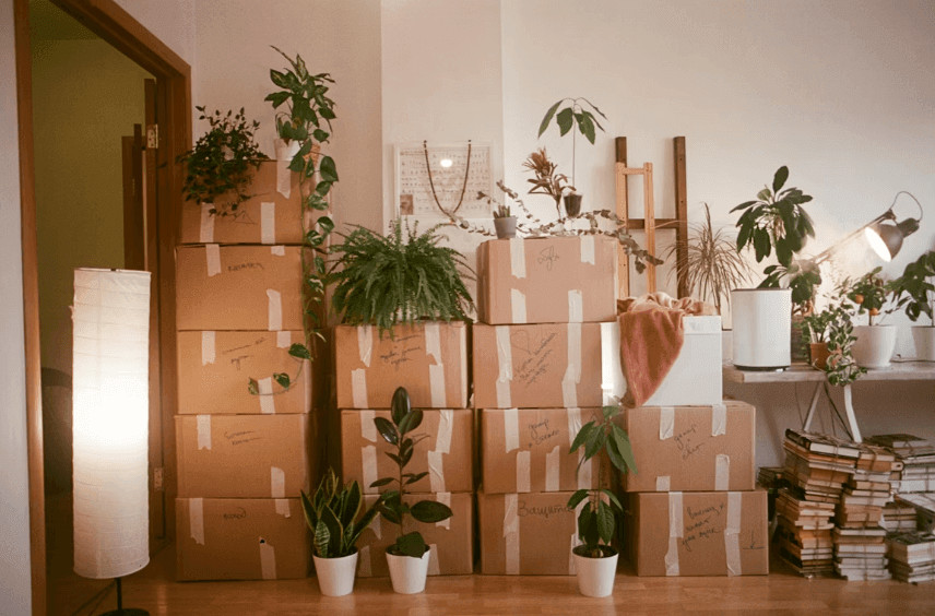 Moving Day Logistics