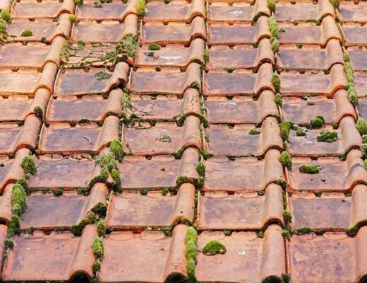 roof damage