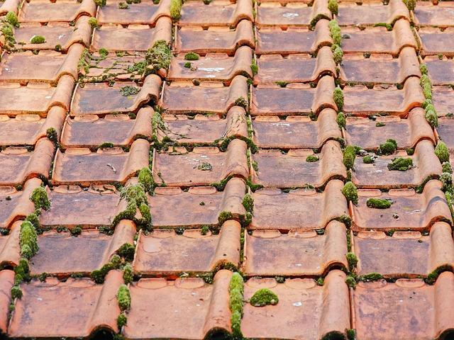 Common Roof Deck Problems and How Experts Fix Them 2 Roof Deck Problems