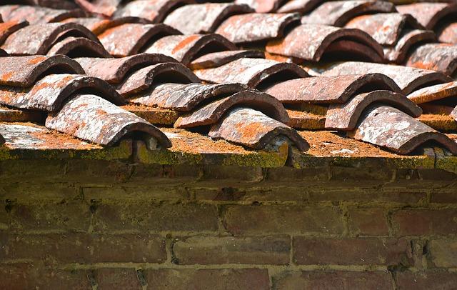 Roof Leaks and Water Damage