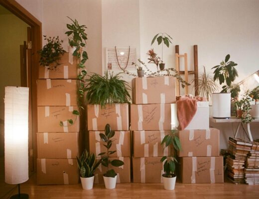 A room filled with moving boxes and plants