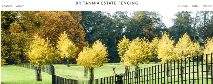 Wrought Iron Fencing Suppliers - Britannia Estate