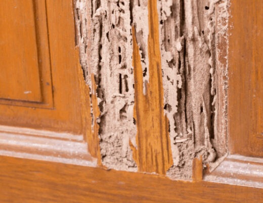 File a Claim for Improper Termite Treatment