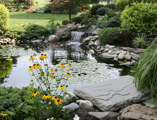 Smart Pond Care: Why Pressurised Filters Matter More Than You Think