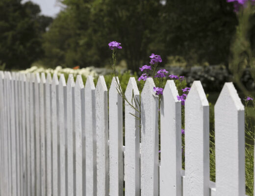 White picket fence with purple flowers, an affordable fencing