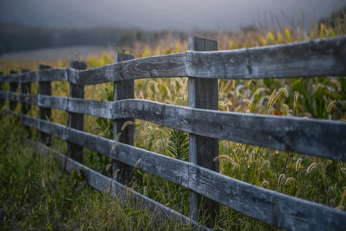 Wooden fence in a field of tall grass