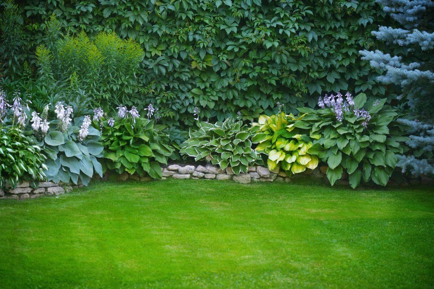 How To Create A Yard That’s Easier To Maintain For Years To Come 1 Beautiful Yard