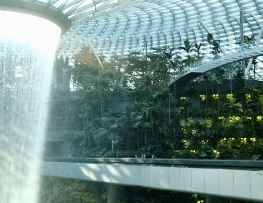 6 Best Tower Gardens For Growing at Home (2026) 4 Building interior with a cascading indoor waterfall