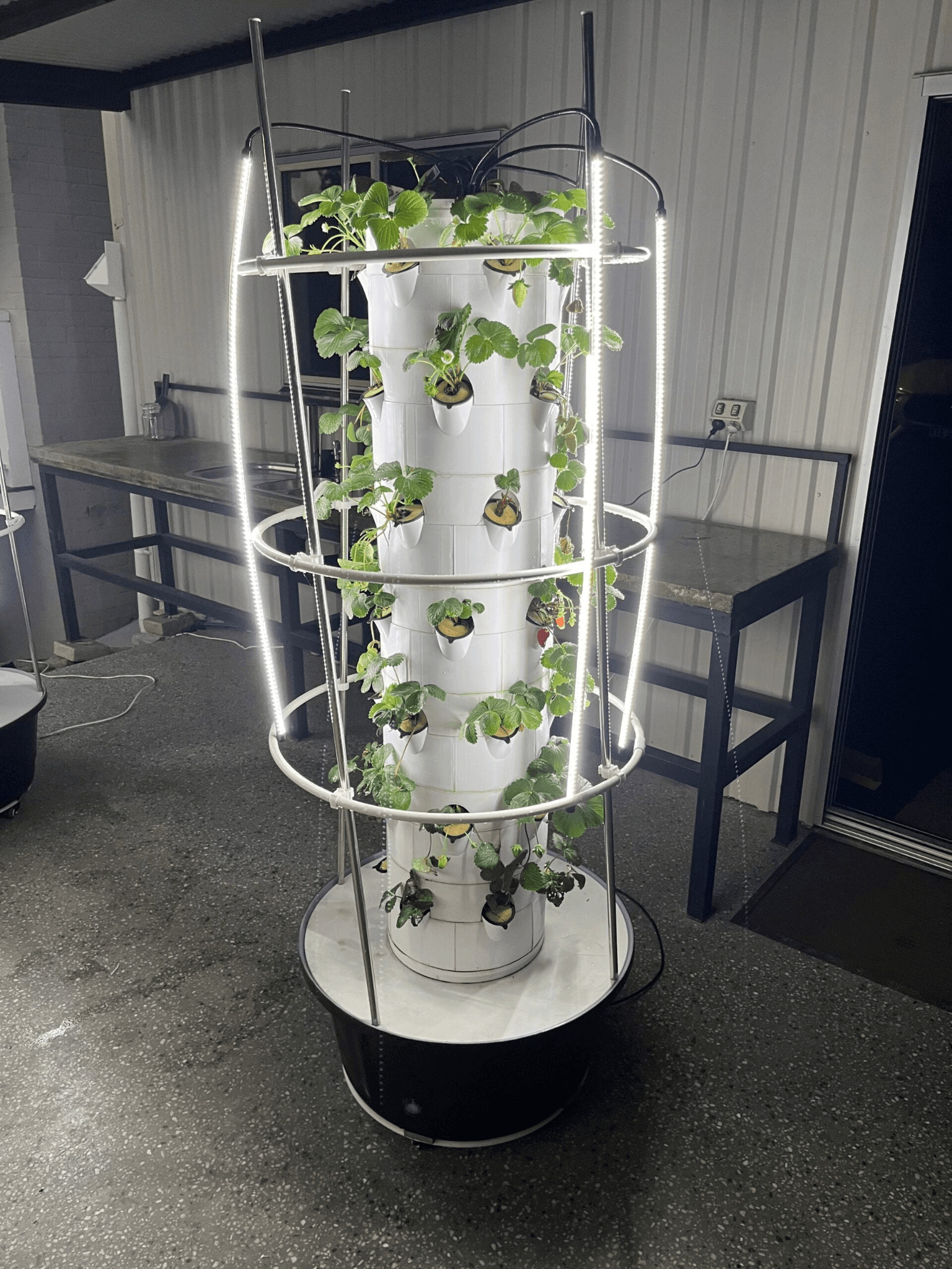 White tower garden with plants growing inside.