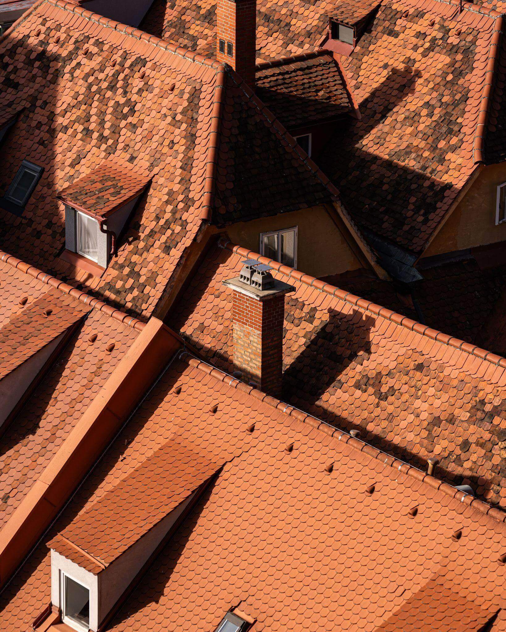 Bird perched on a modern home roof
