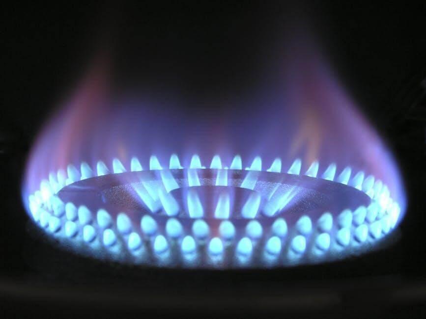 Gas stove with blue flames, illustrating home