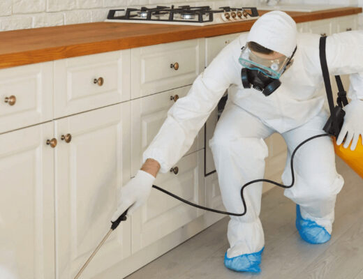 When DIY Pest Control Isn’t Enough: Signs It’s Time to Call a Pro