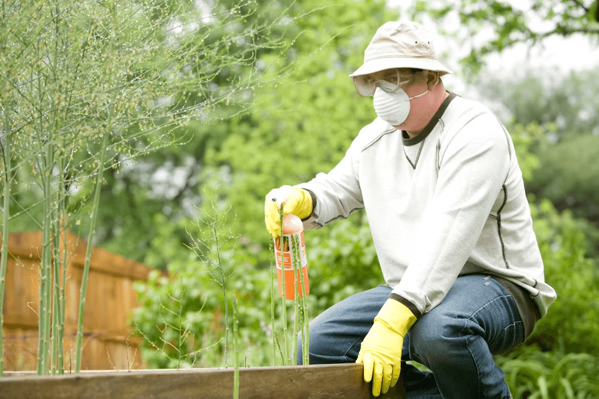 Man in mask and gloves holding a carrot, symbolizing