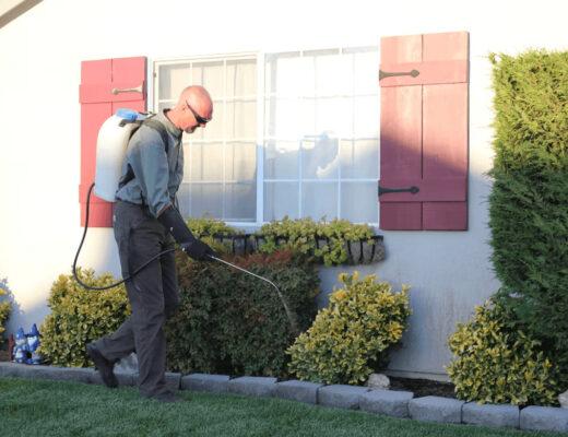 How Modern Pest Control is Changing Home Maintenance: What DIYers Need to Know 1 Man spraying for pest control in front of