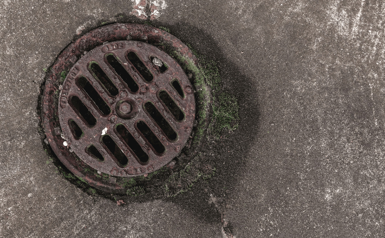 Sign Your Sewer Line Needs Repair