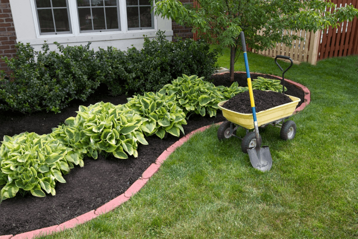 Yellow wheelbarrow filled with dirt and plants for yard
