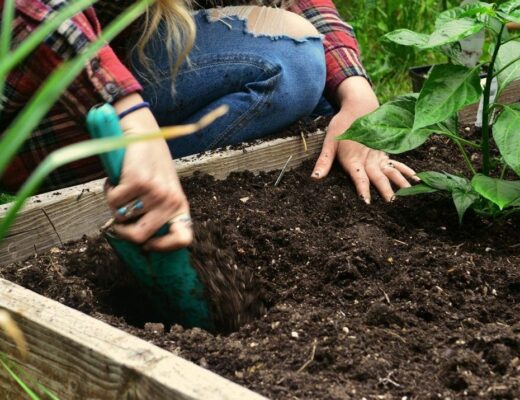 A person is digging soil in a raised garden bed