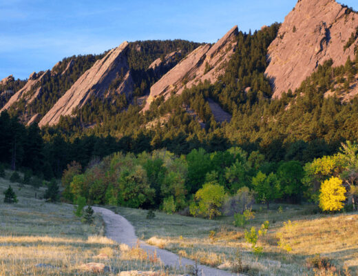 How to Choose a Licensed Moving Company in Colorado Springs
