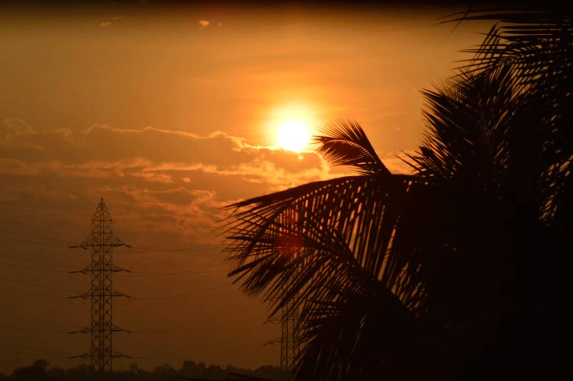 Sunset behind a palm tree